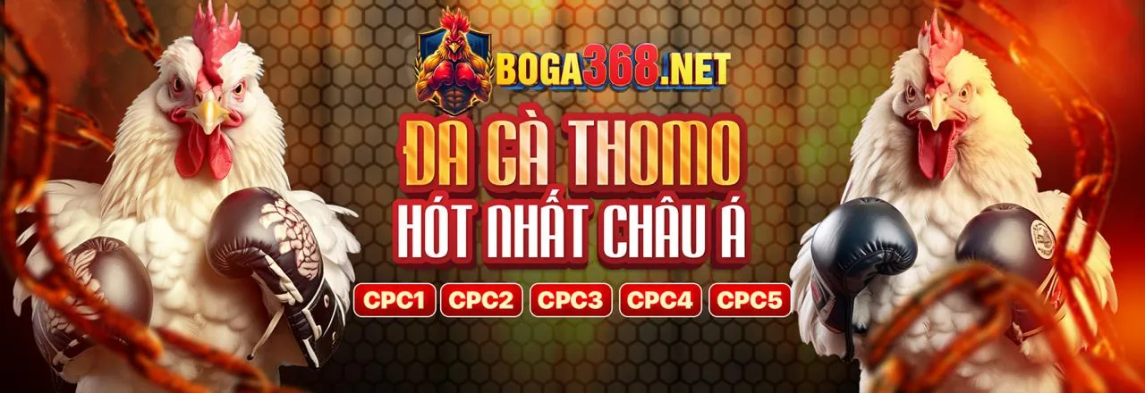 Tin tức mới nhất từ 77 Ball Trang Chủ